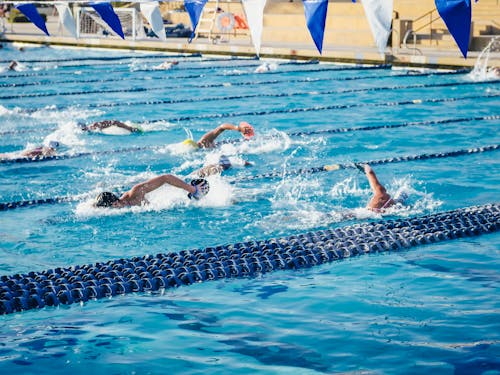 Pellea Fitness - Toronto Canada - Swimming Activity - Freestyle Swimmers